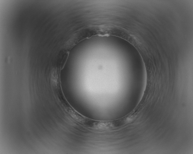 X0000073850129200608241052