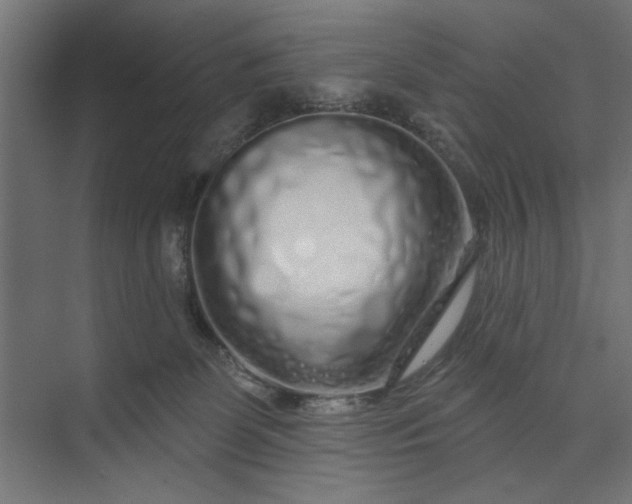 X0000073850131200608241052