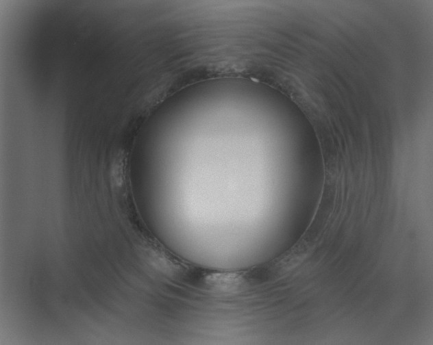 X0000073850133200608241052