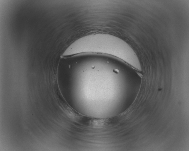 X0000073850134200608241052