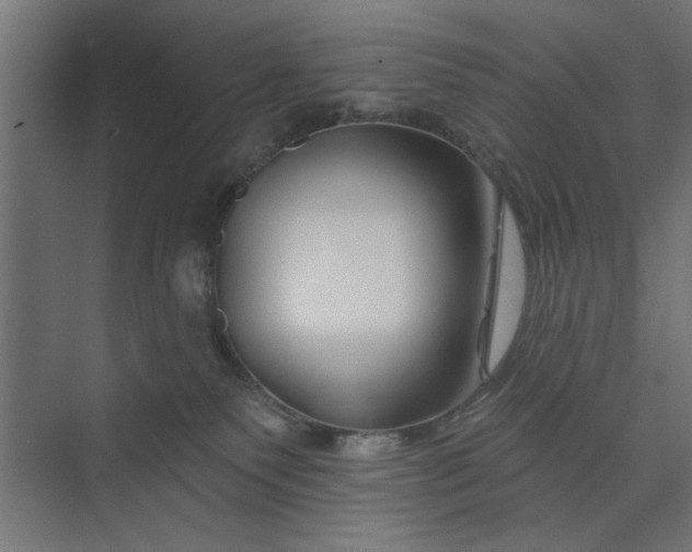 X0000073850135200608241052