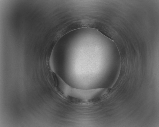 X0000073850137200608241052