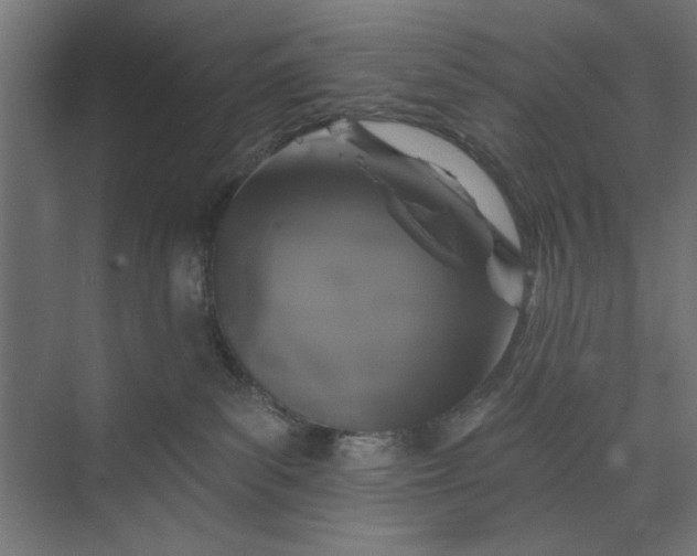 X0000073850139200608241052