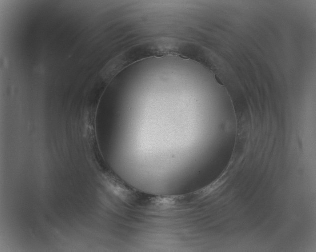 X0000073850140200608241052