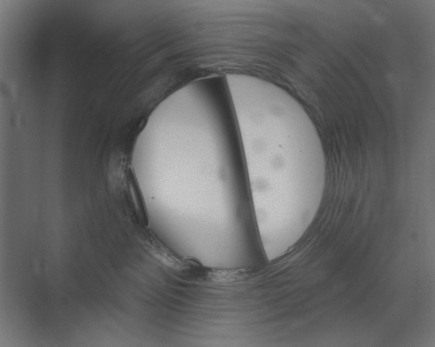 X0000073850141200608241052