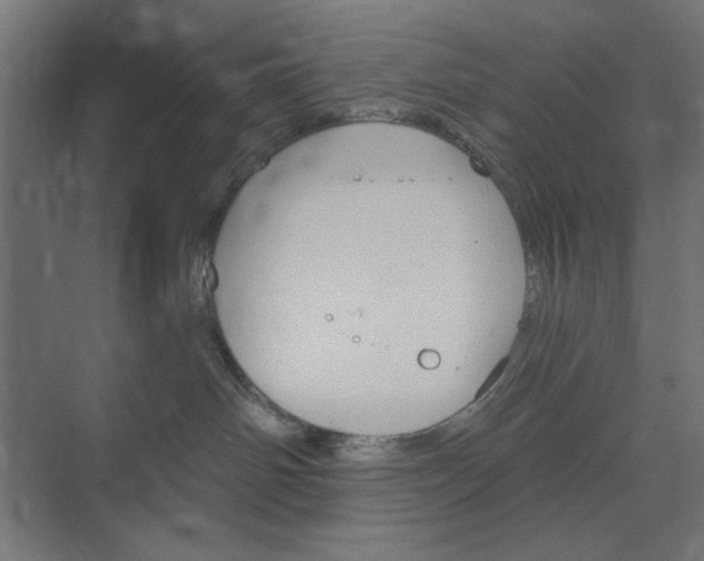 X0000073850142200608241052