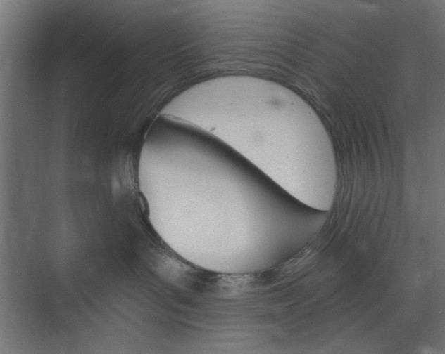 X0000073850143200608241052