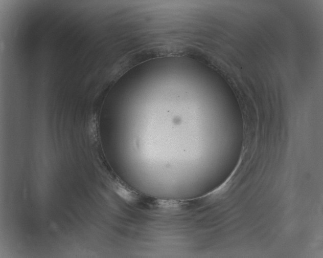 X0000073850144200608241052