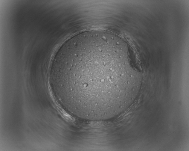 X0000073850145200608241051