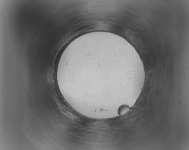 X0000073850146200608241051