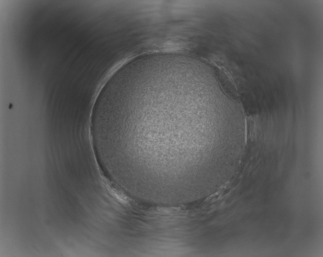 X0000073850147200608241051