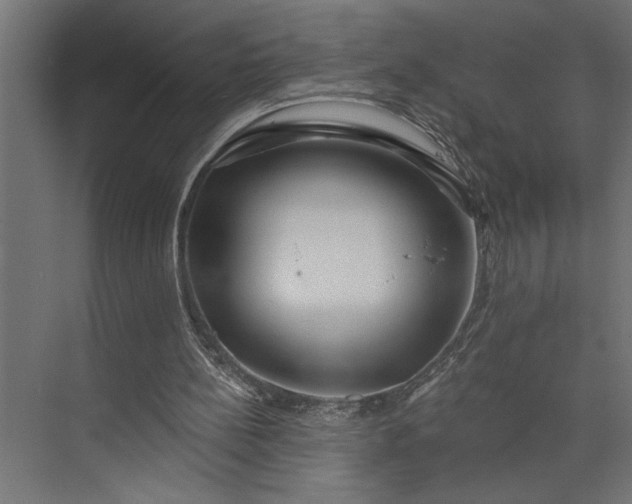 X0000073850148200608241051