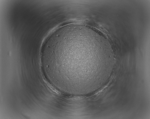 X0000073850149200608241051