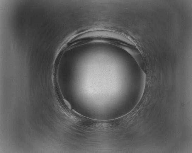 X0000073850152200608241051