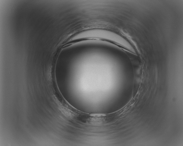 X0000073850154200608241051