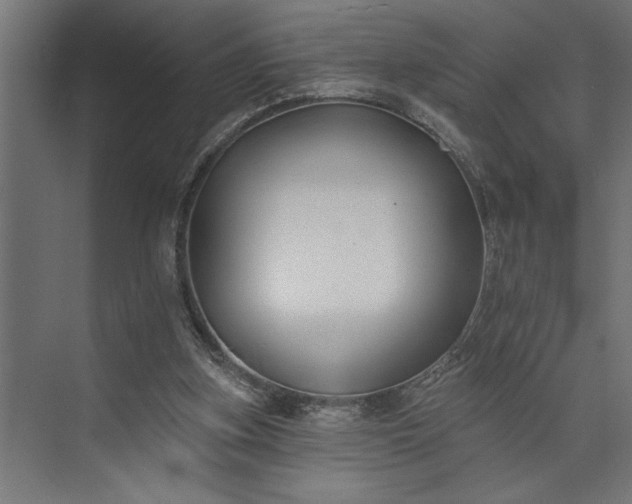 X0000073850155200608241052