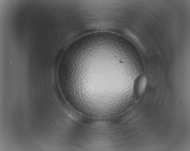 X0000073850161200608241052