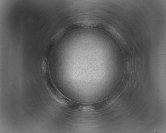 X0000073850165200608241052