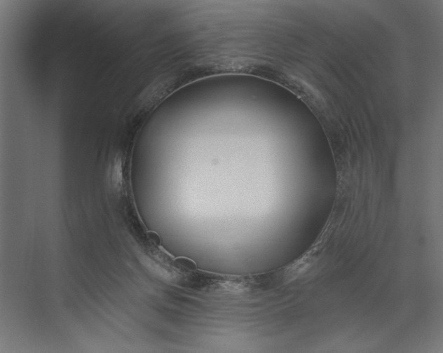 X0000073850166200608241052