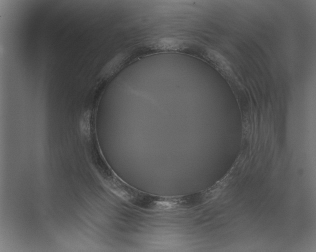 X0000073850167200608241052