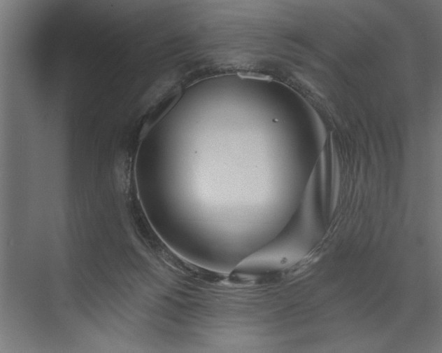 X0000073850168200608241052