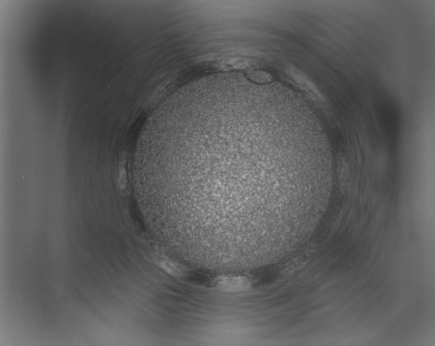 X0000073850169200608241052