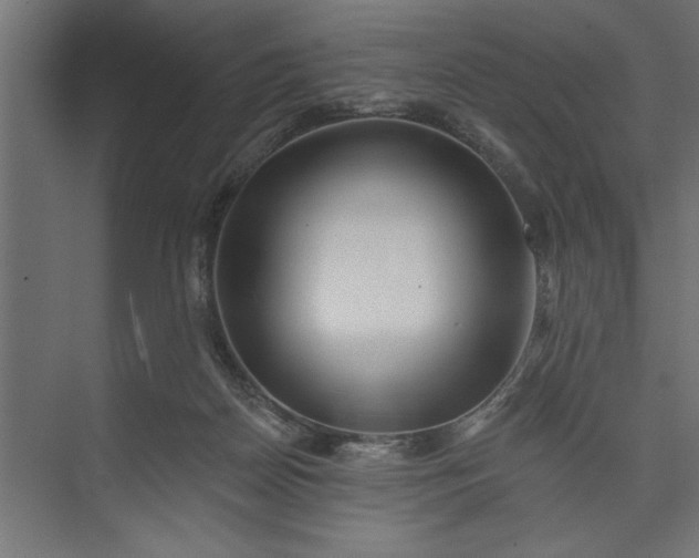 X0000073850170200608241052