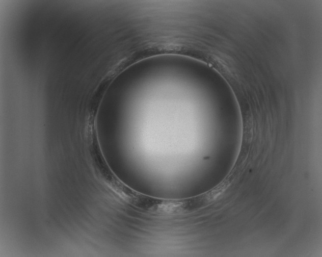 X0000073850172200608241052