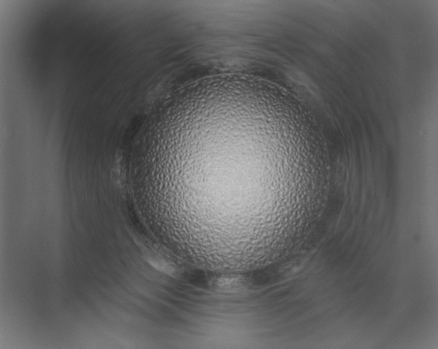 X0000073850173200608241052