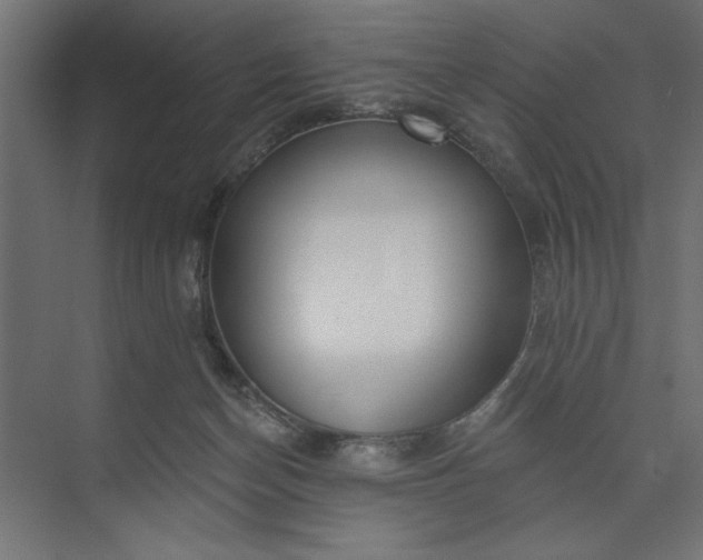 X0000073850174200608241052