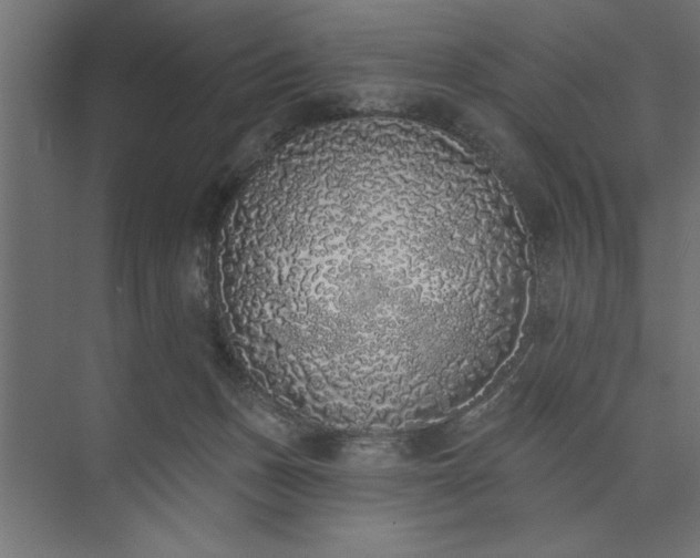 X0000073850175200608241052