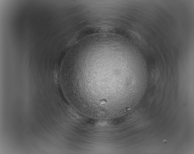 X0000073850177200608241052