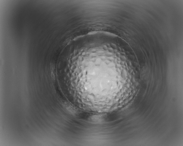 X0000073850178200608241052