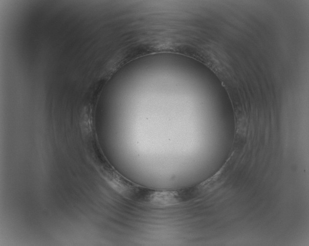 X0000073850179200608241052