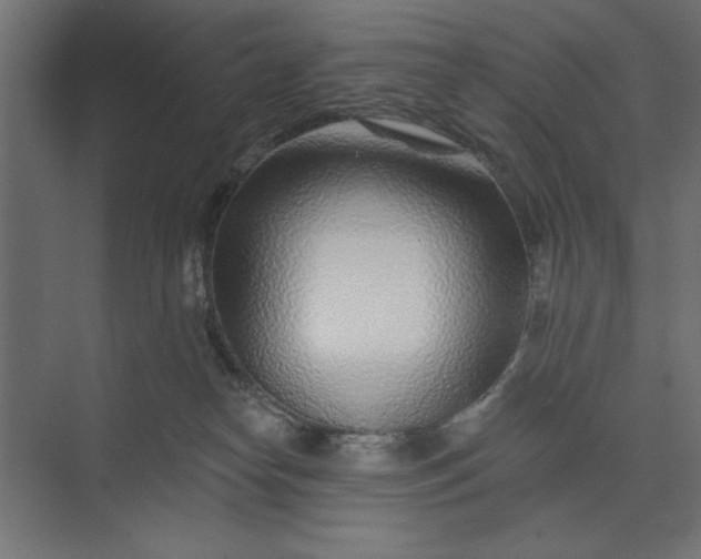 X0000073850182200608241052