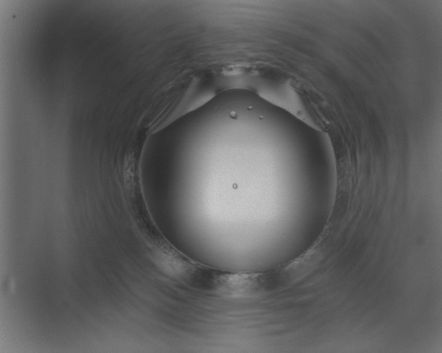 X0000073850184200608241052