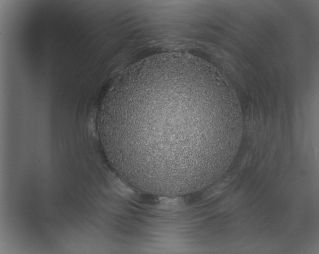 X0000073850185200608241052