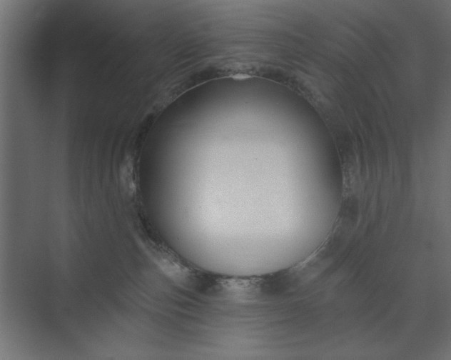 X0000073850187200608241052