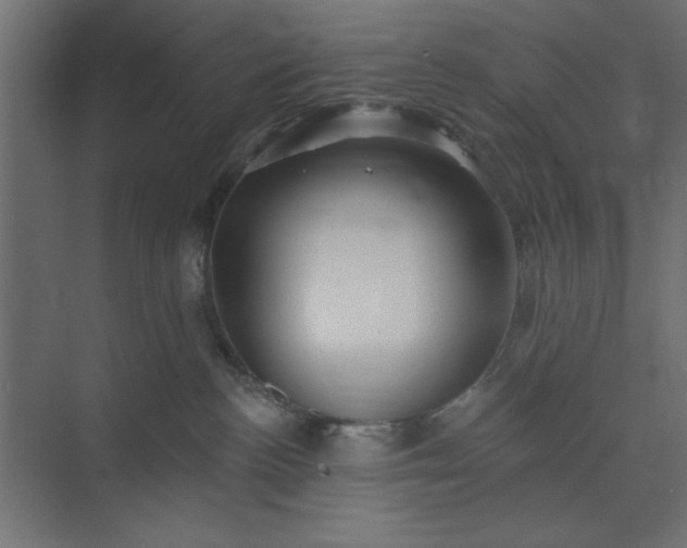 X0000073850188200608241052