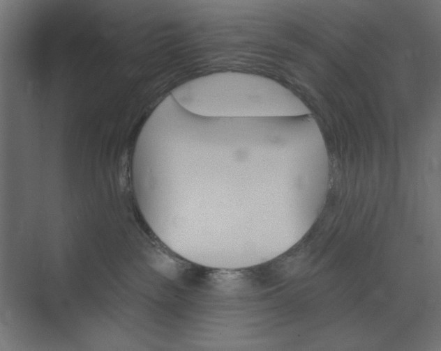 X0000073850189200608241052