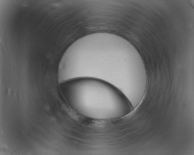 X0000073850190200608241052