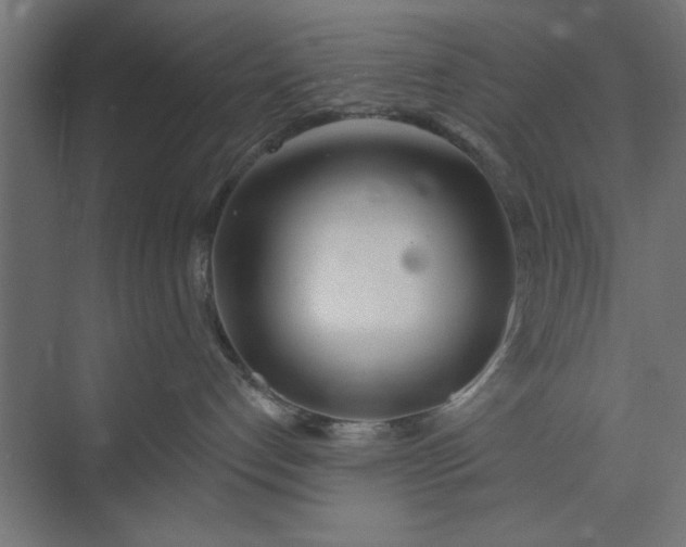 X0000073850192200608241052