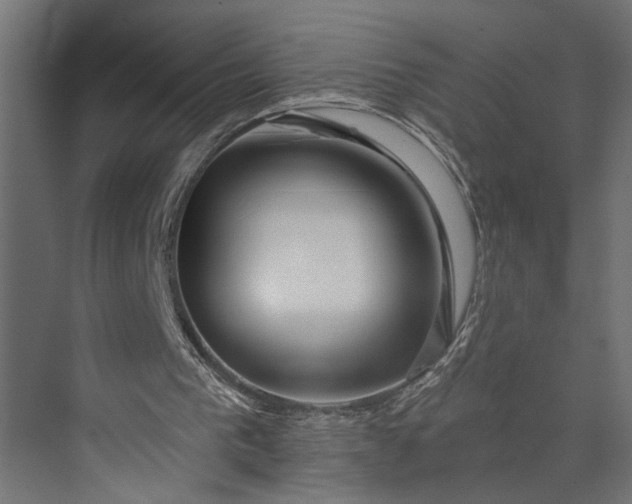 X0000073850193200608241051