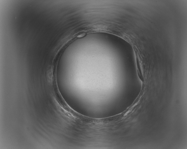 X0000073850194200608241051