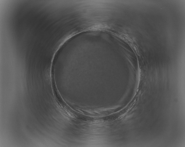 X0000073850196200608241051