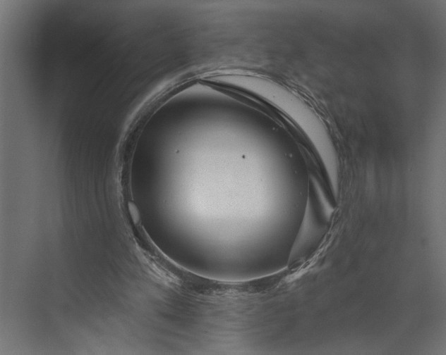 X0000073850197200608241051