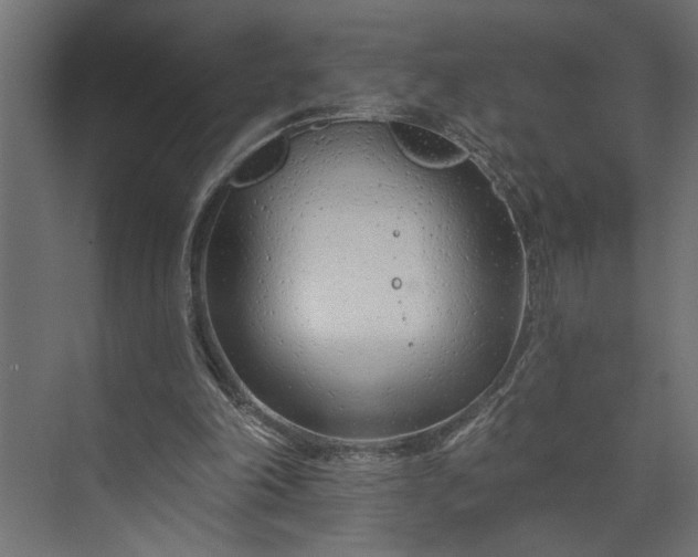 X0000073850198200608241051