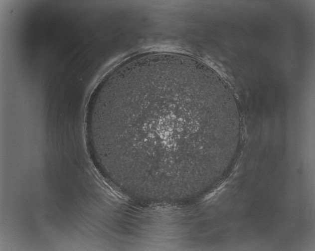 X0000073850199200608241051