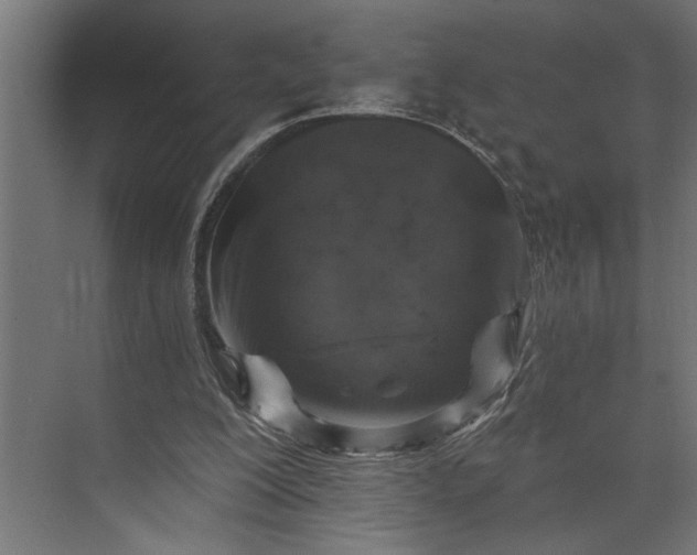 X0000073850200200608241051