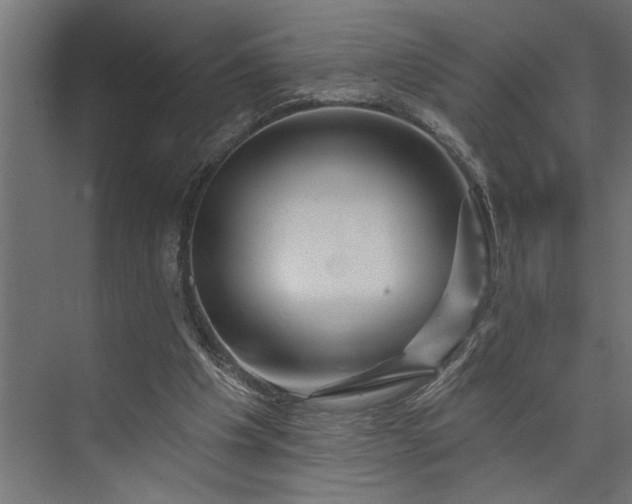 X0000073850201200608241051